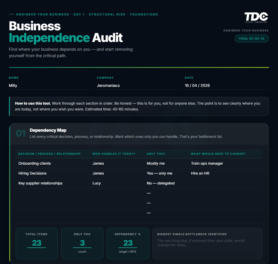 Business Independence Audit