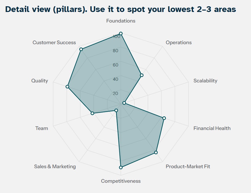 RISE Assessment output — three risk categories scored